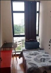 Dover Parkview (D5), Condominium #534590641